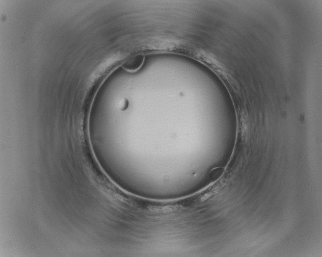 X0000074320679200609152032