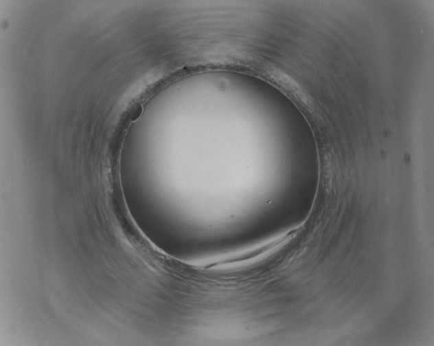 X0000074320680200609152032