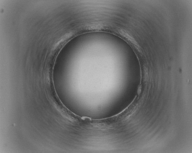 X0000074320681200609152032