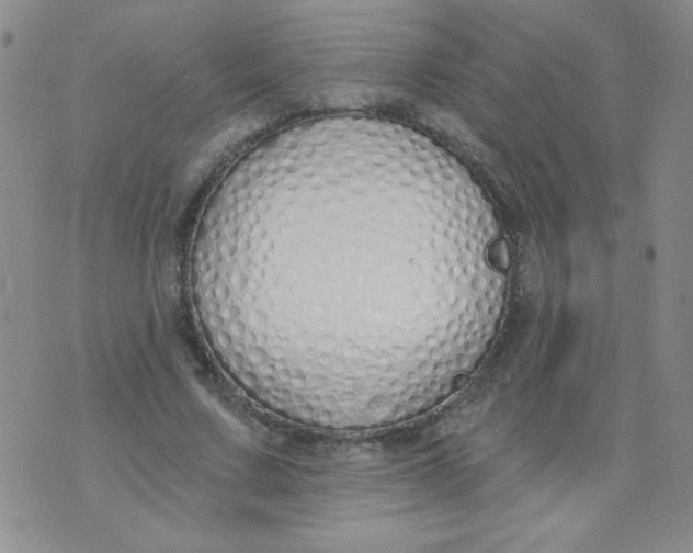 X0000074320683200609152032