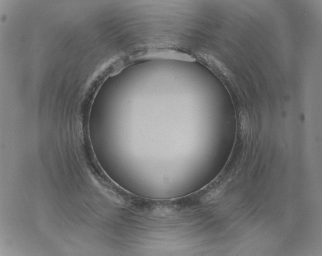 X0000074320684200609152032