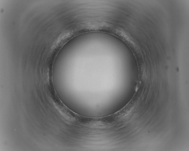 X0000074320685200609152032