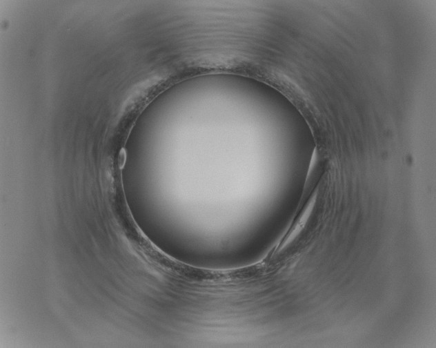 X0000074320688200609152032