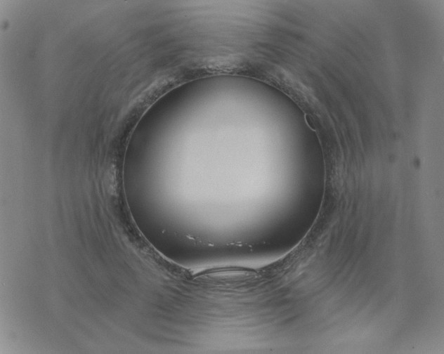 X0000074320689200609152032