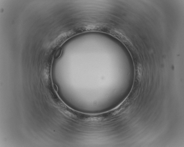 X0000074320691200609152032