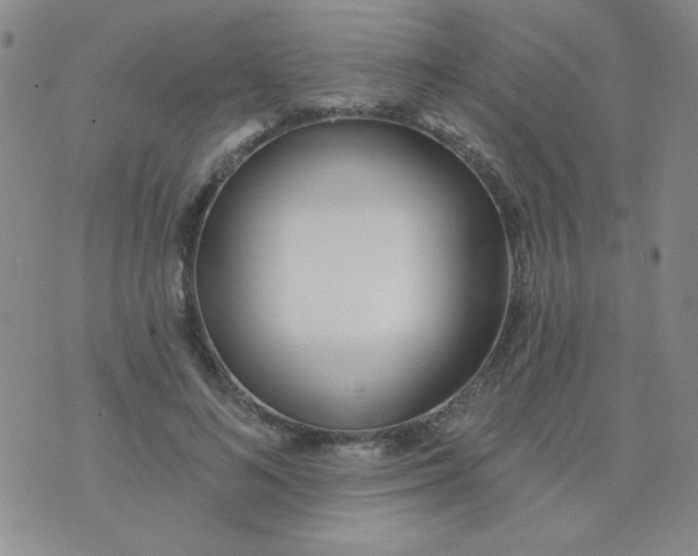 X0000074320692200609152032