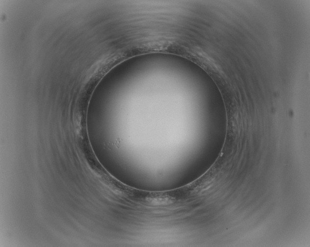 X0000074320693200609152032