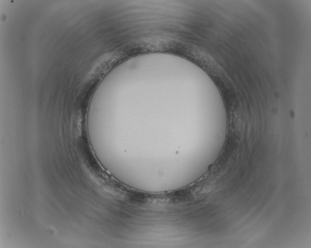 X0000074320694200609152032