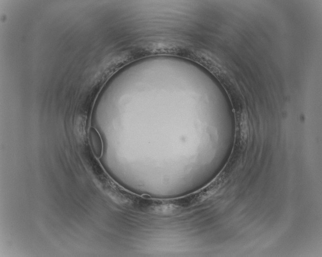 X0000074320695200609152032