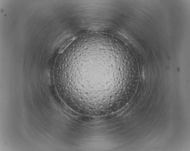 X0000074320696200609152032