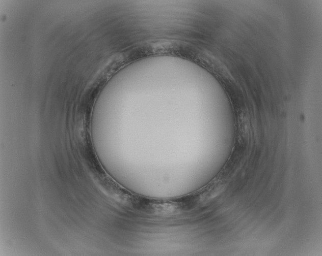 X0000074320698200609152032