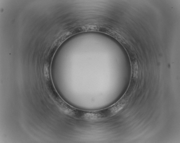 X0000074320699200609152032