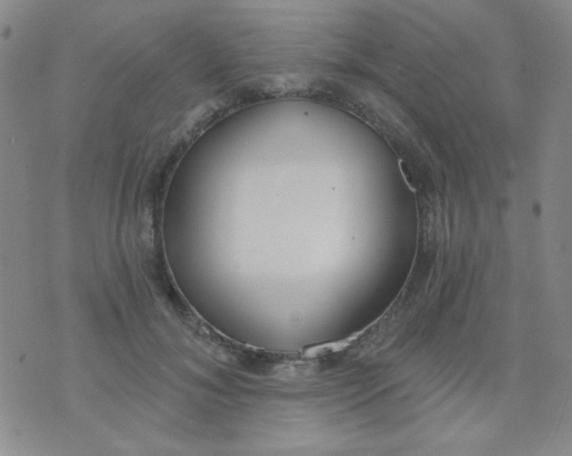 X0000074320700200609152032