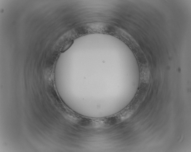 X0000074320701200609152032