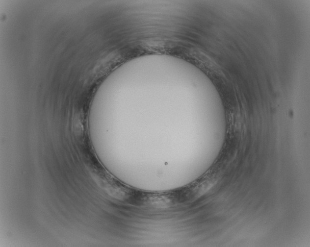 X0000074320702200609152032