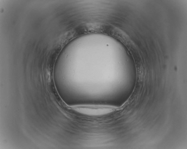 X0000074320703200609152032