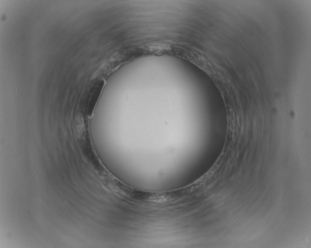 X0000074320704200609152032