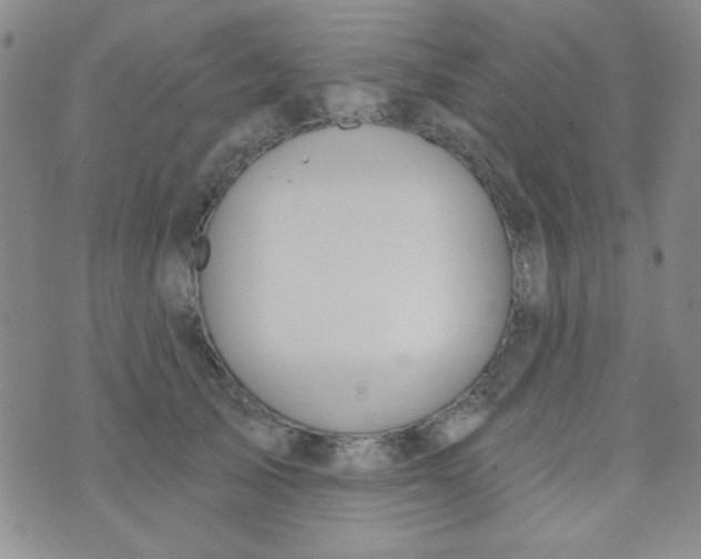 X0000074320705200609152032