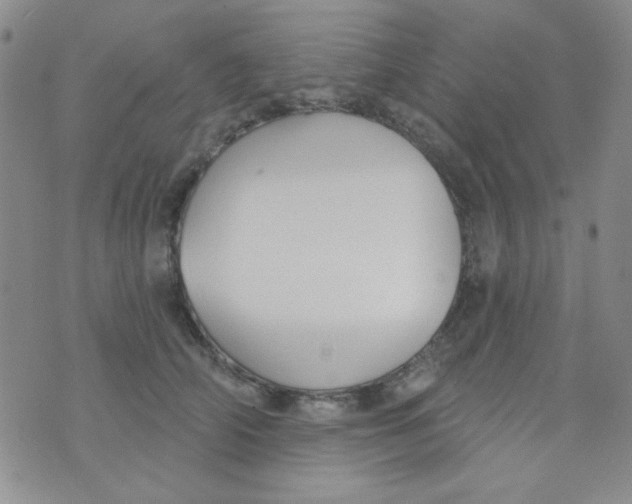 X0000074320706200609152032