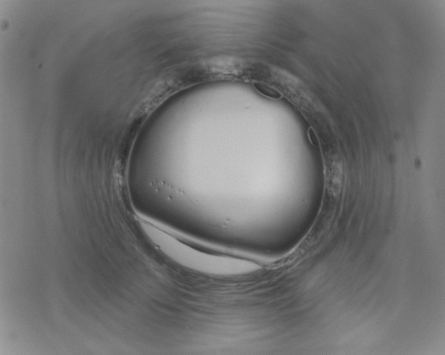 X0000074320707200609152032