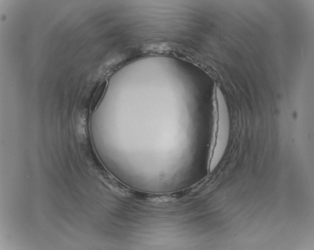 X0000074320708200609152032