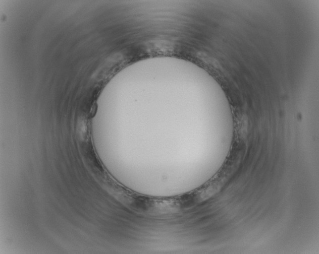 X0000074320709200609152032