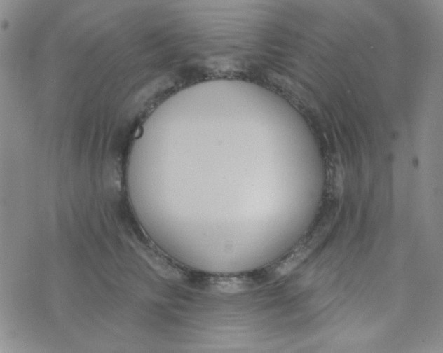 X0000074320710200609152032