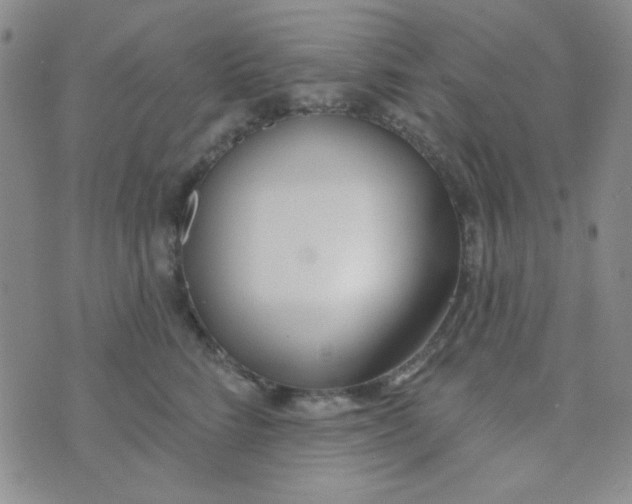 X0000074320712200609152032