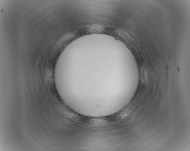 X0000074320714200609152032