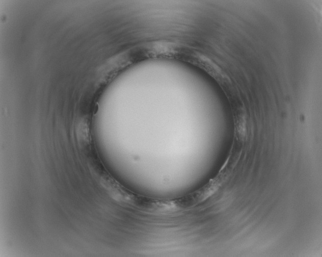 X0000074320715200609152032