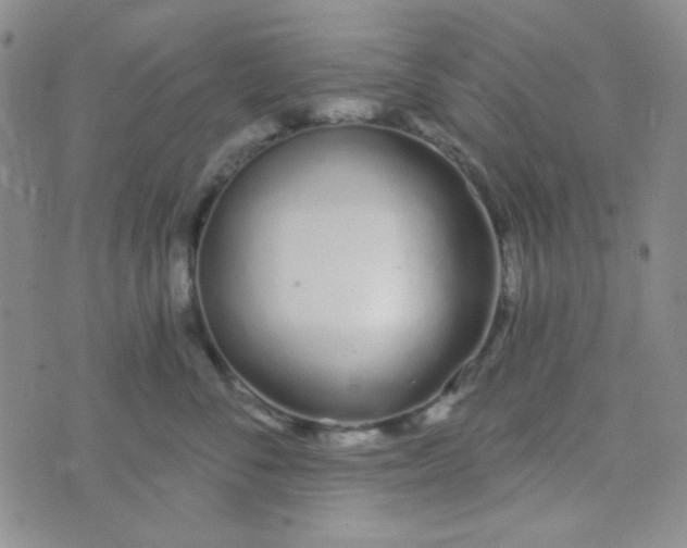 X0000074320716200609152032