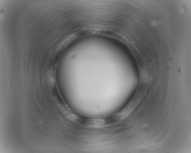 X0000074320719200609152032