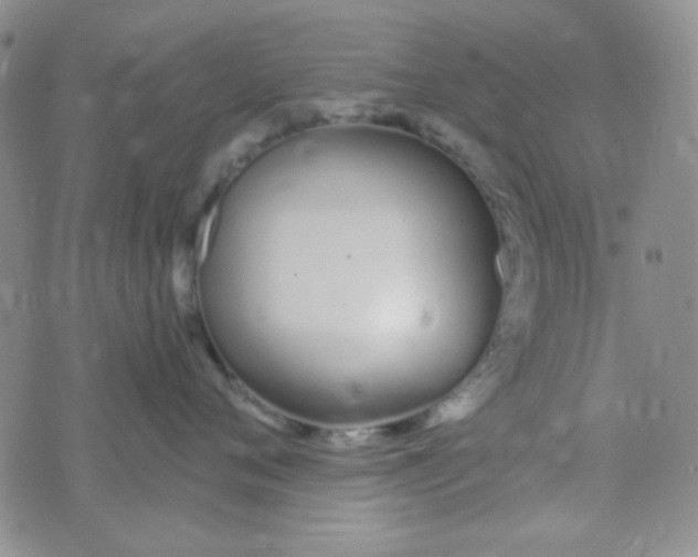 X0000074320720200609152032