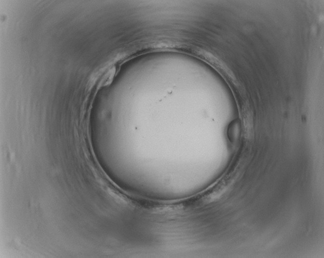 X0000074320721200609152031