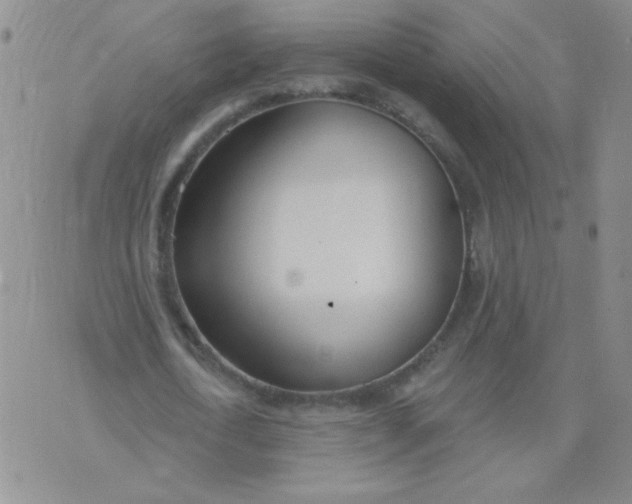 X0000074320722200609152031