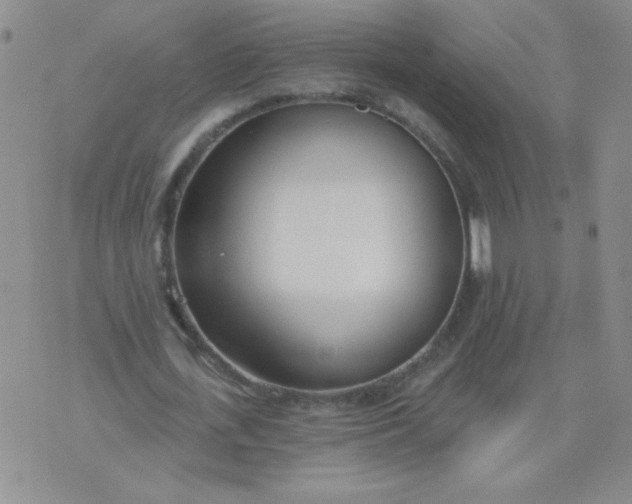 X0000074320723200609152031