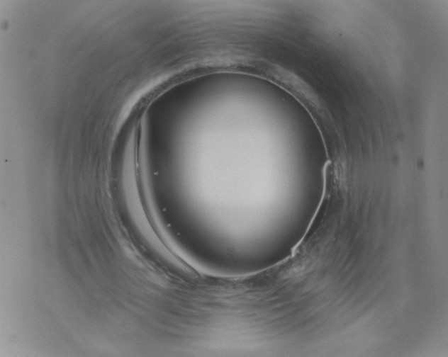 X0000074320724200609152031