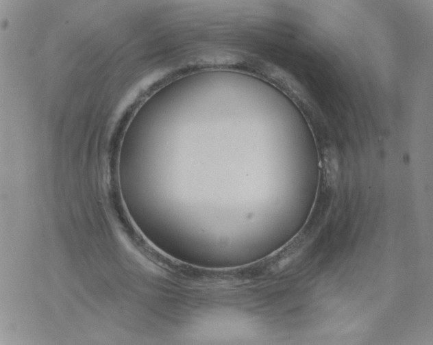 X0000074320726200609152031