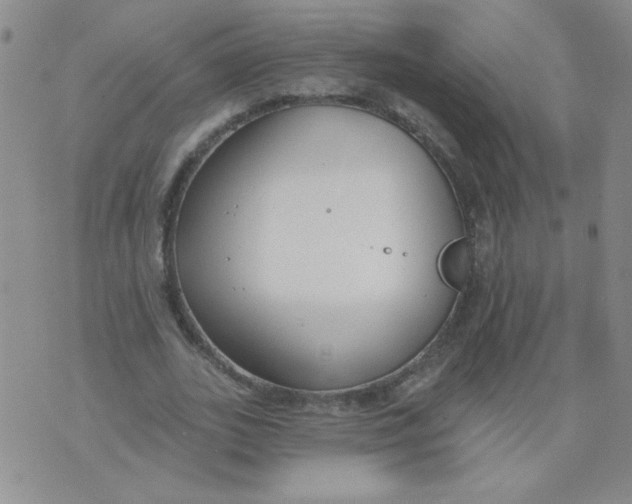 X0000074320727200609152031