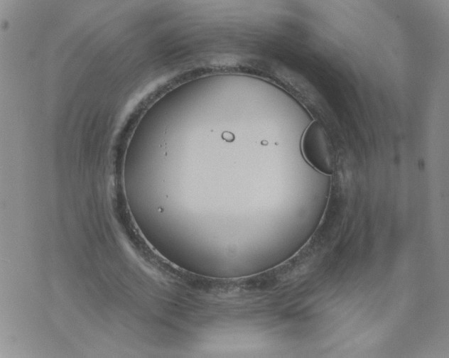 X0000074320728200609152031