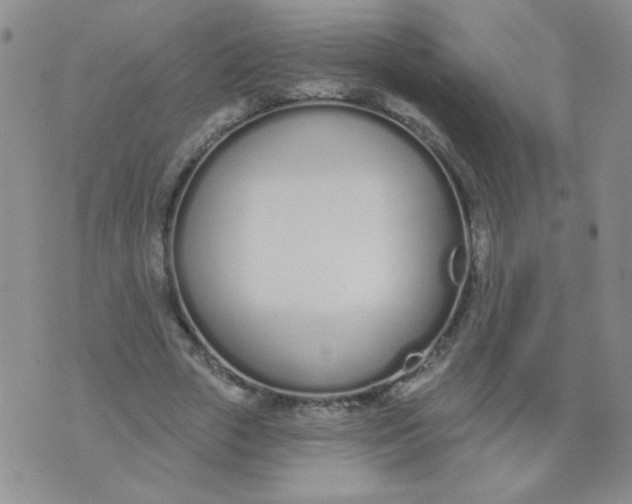 X0000074320729200609152031