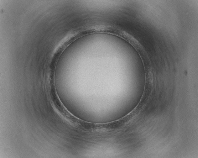 X0000074320730200609152031