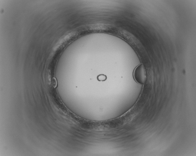 X0000074320731200609152031