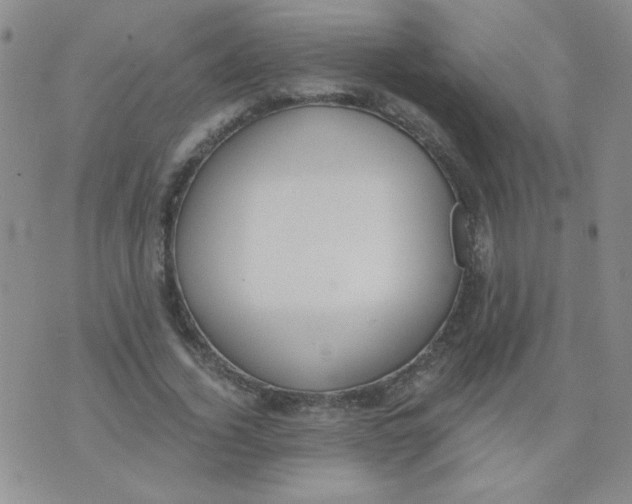 X0000074320732200609152031