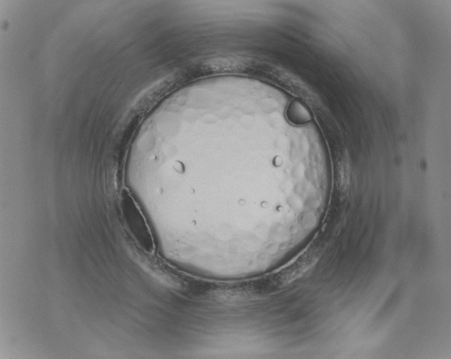 X0000074320733200609152031