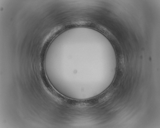 X0000074320734200609152031