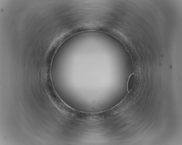 X0000074320736200609152031