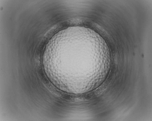 X0000074320737200609152031