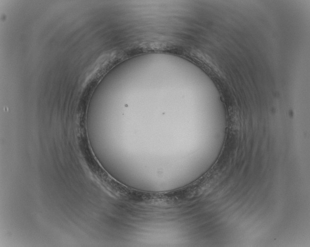 X0000074320738200609152031