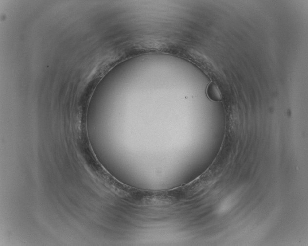 X0000074320739200609152031